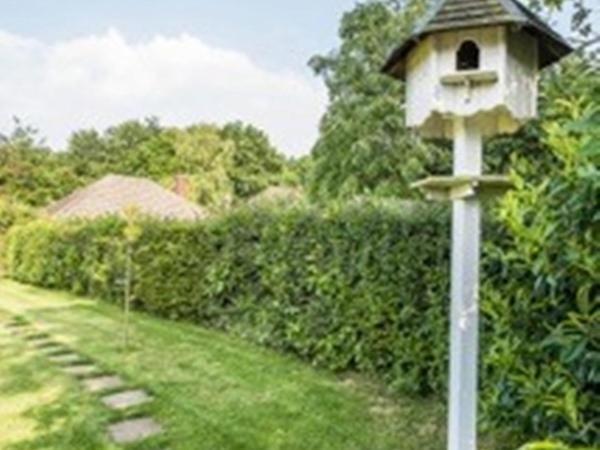 Knole B&B Sevenoaks Exteriér fotografie